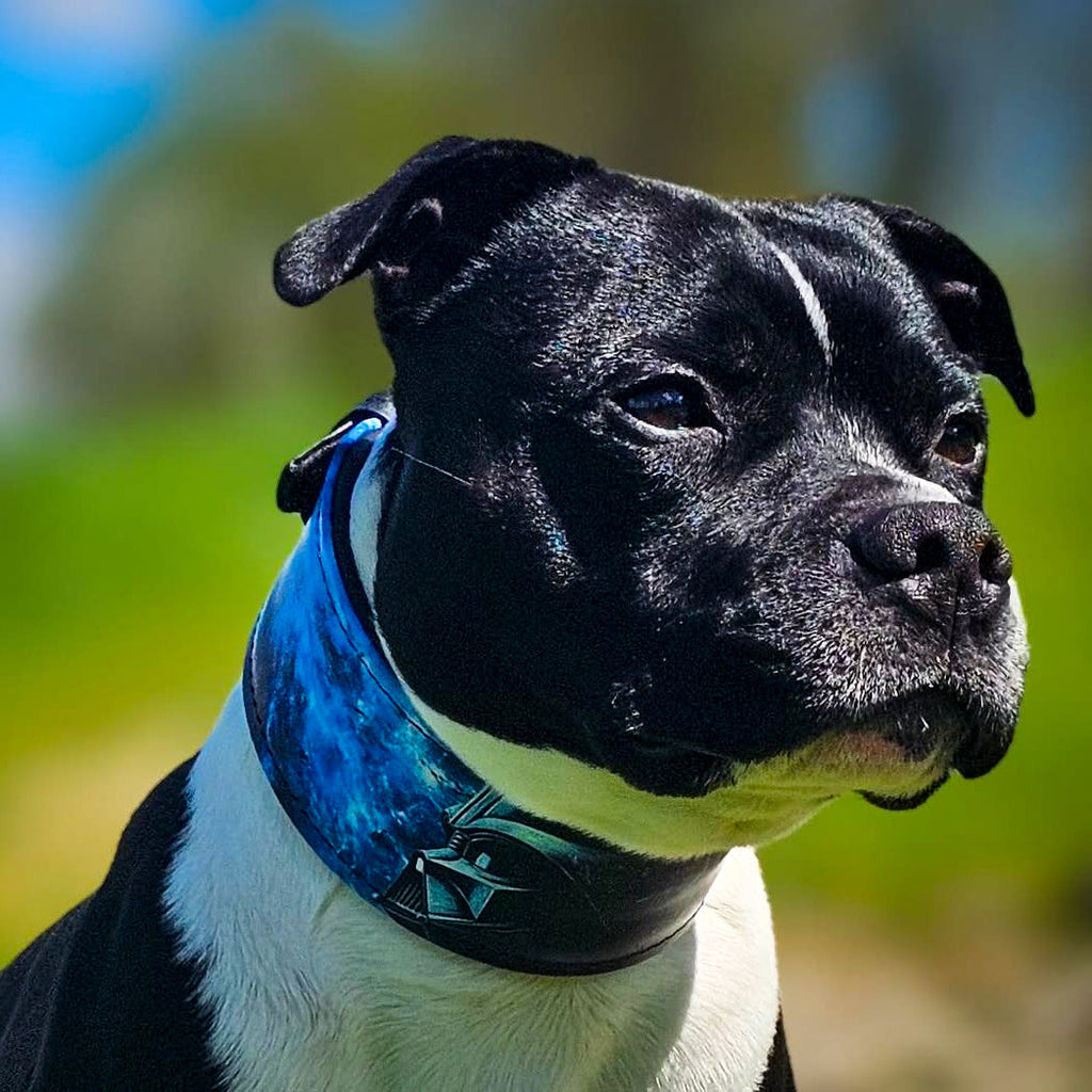 The Darth Force Limited Collar
