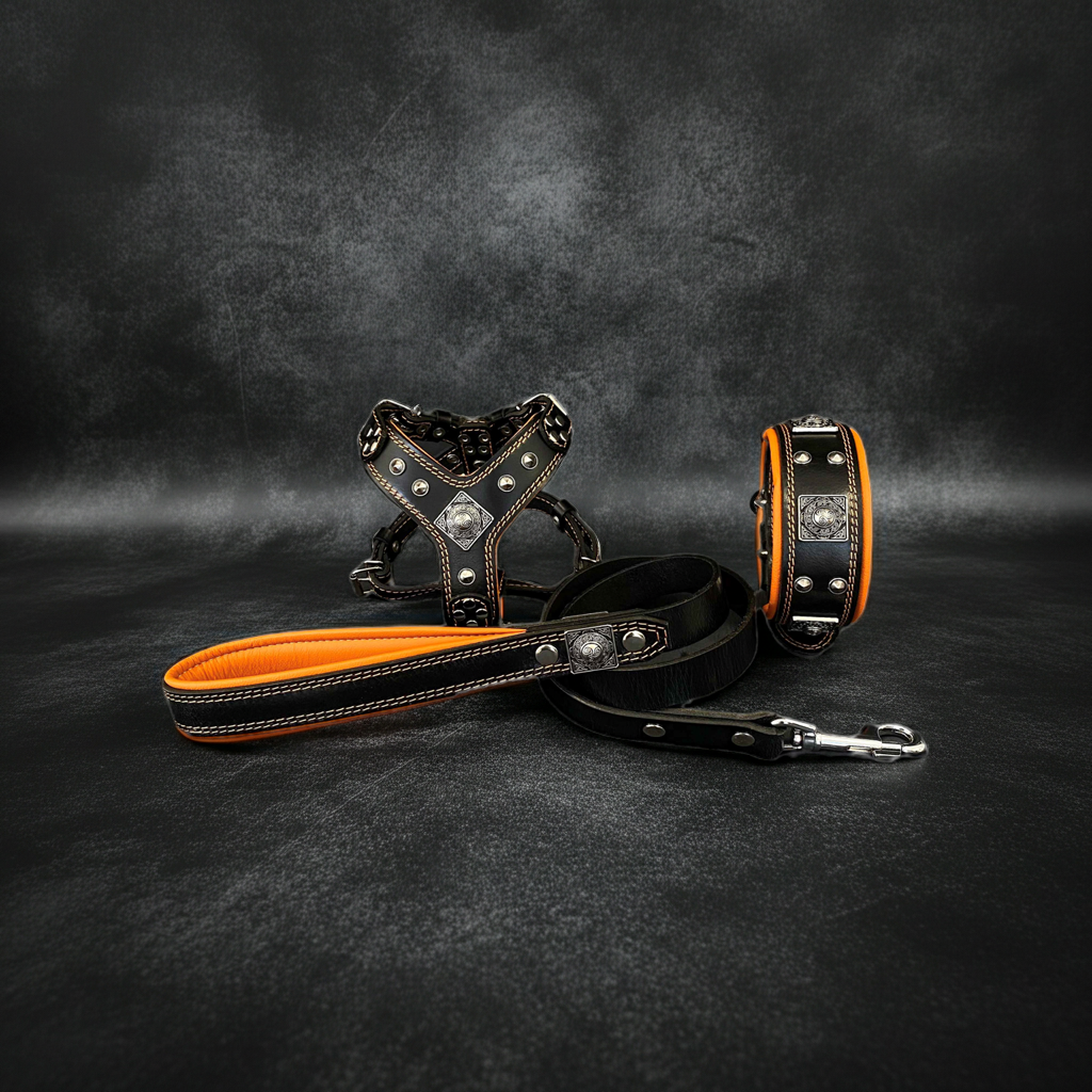 "EROS" Small to Medium dog SET - Harness - collar - lead Black&Orange