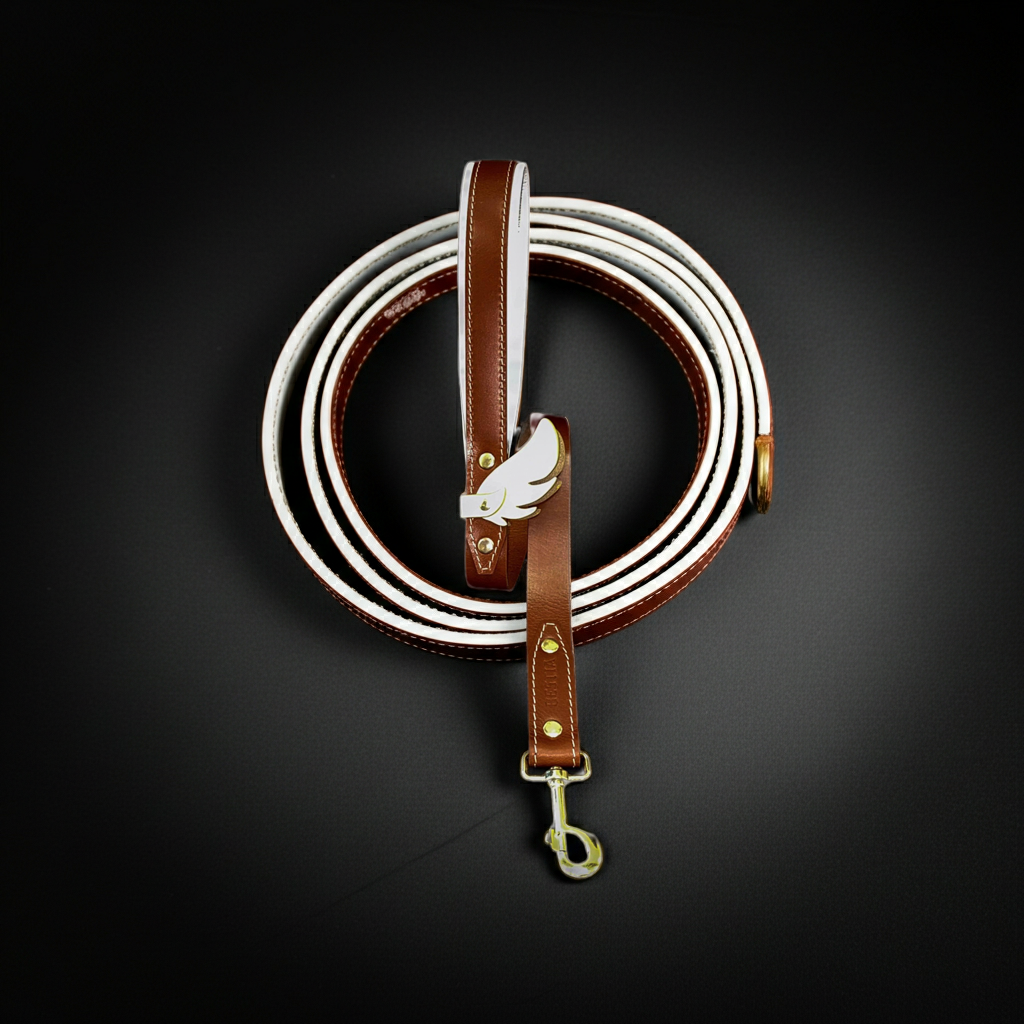 Hermes Collar