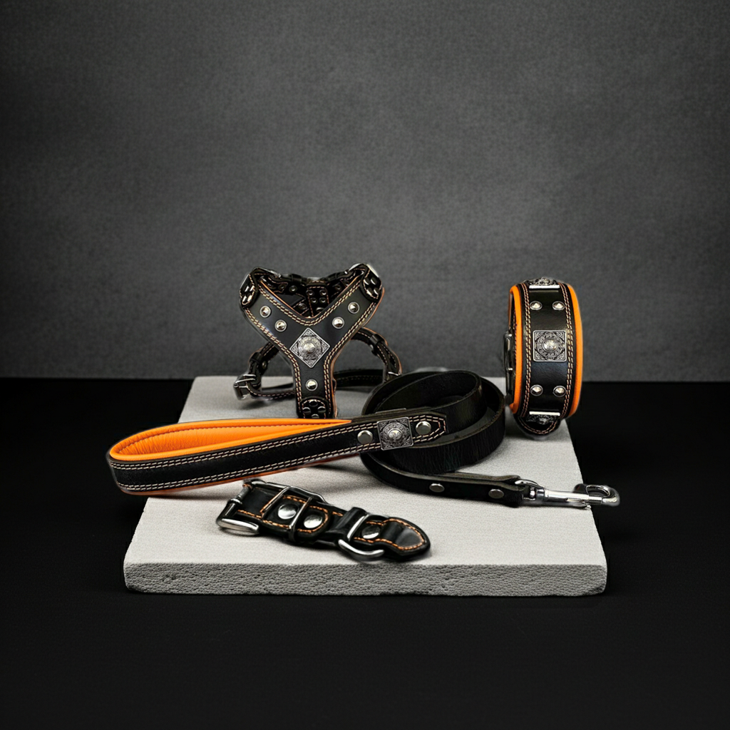 "EROS" Small to Medium dog SET - Harness - collar - lead Black&Orange