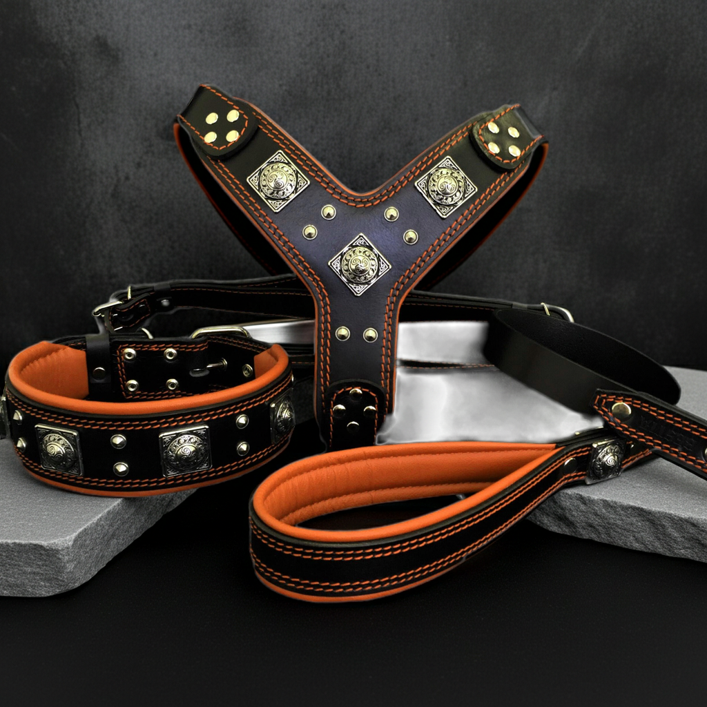 "EROS" BIG dog SET- Harness - collar - lead. Black & Orange