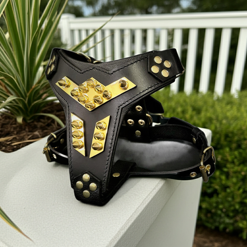 ''Midas'' leather dog harness gold medium size