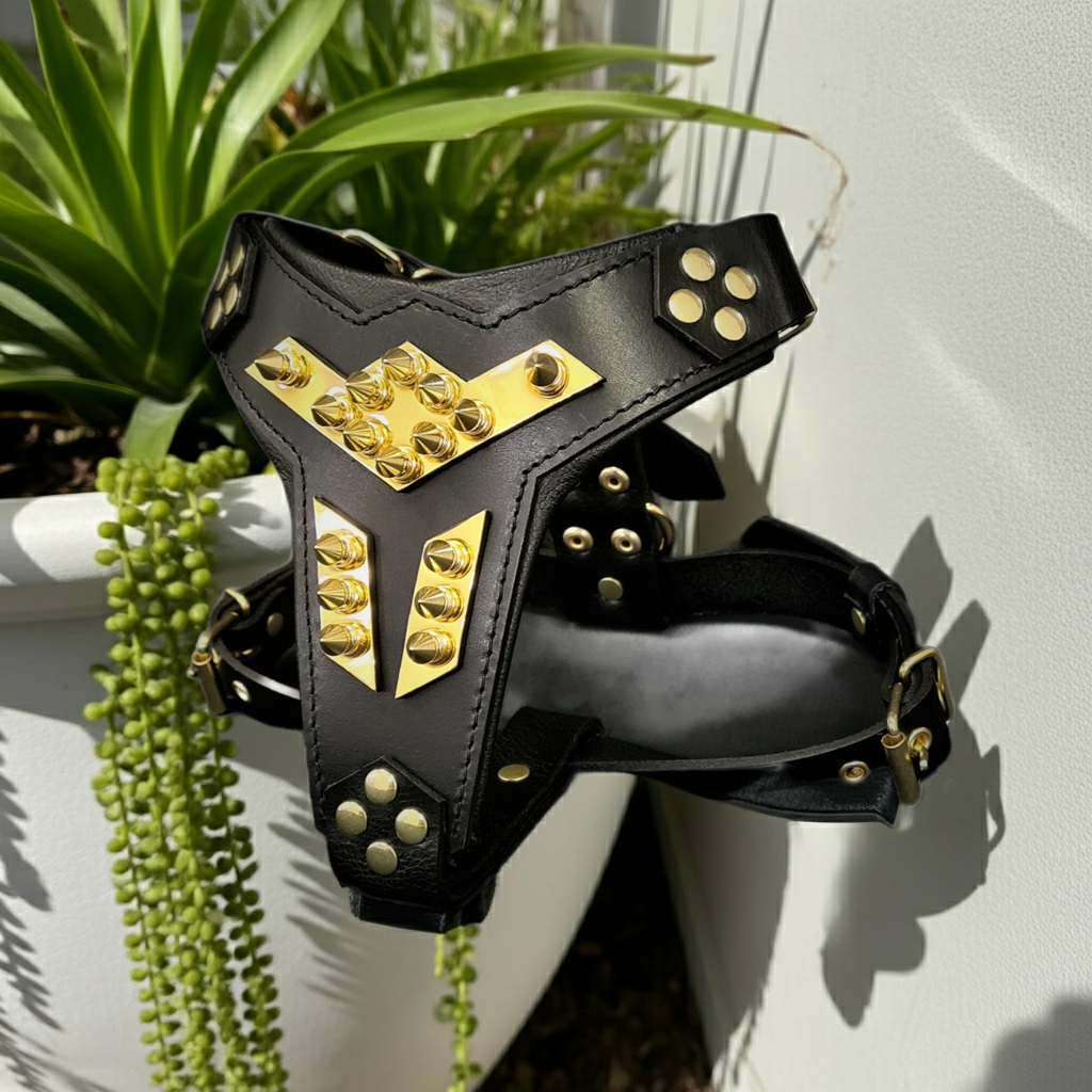 ''Midas'' leather dog harness gold medium size