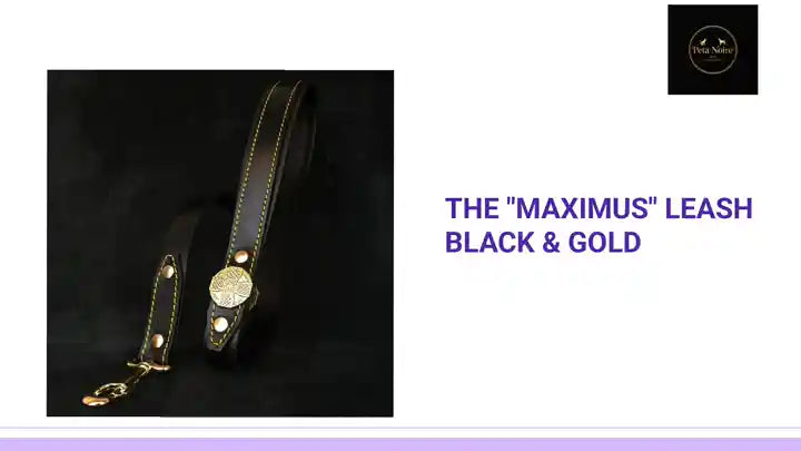 The "Maximus" leash black &amp; gold by@Outfy