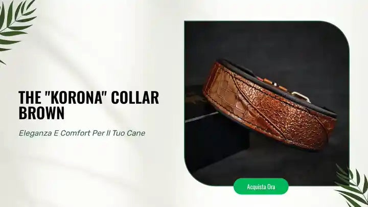 The "Korona" collar BROWN by@Outfy